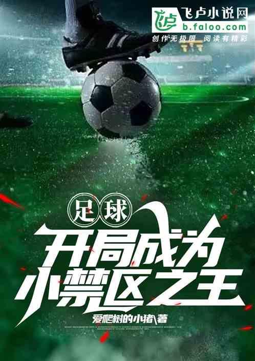 足球禁区之王
