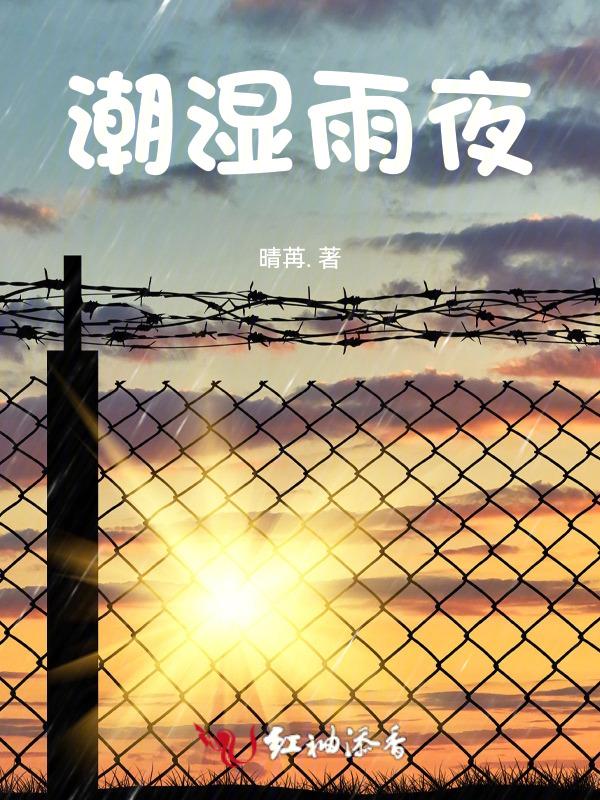 潮湿雨夜的未解之谜