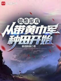 低维游戏从带黄巾军种田开始