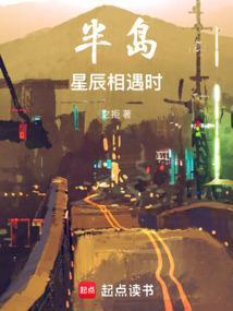 半岛的星辰txt