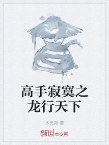 高手寂寞2在线阅读