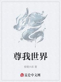 我的世界至尊him图片