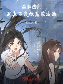 全职法师我是反派