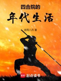 四合院的年代生活夜雨八月