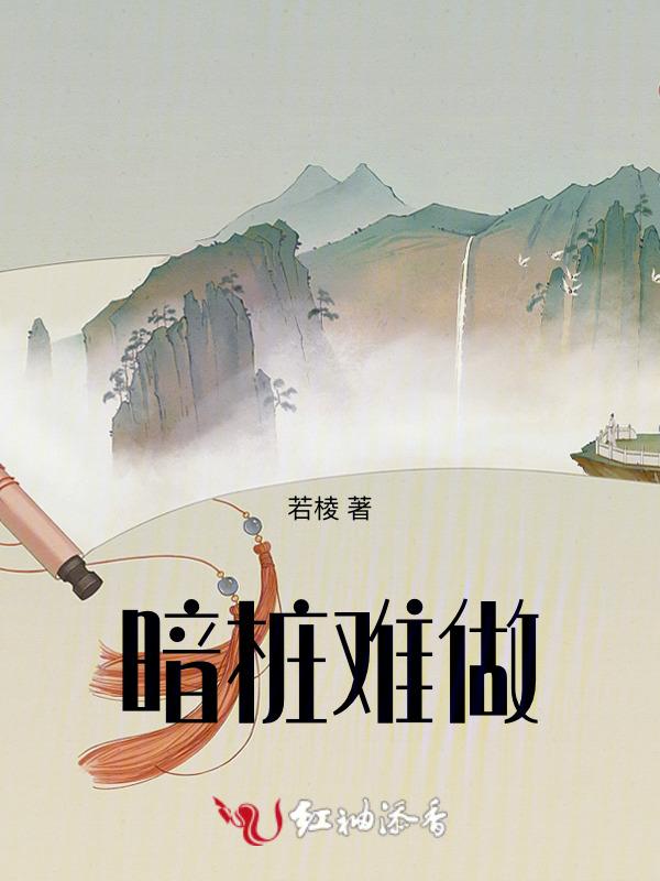 软件 暗桩