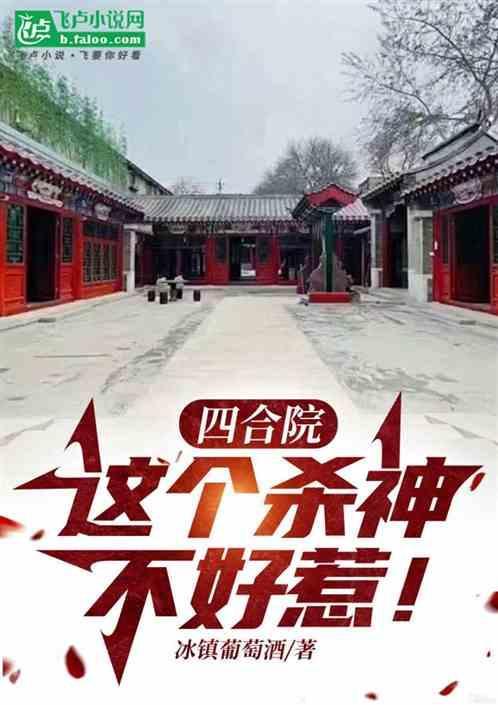 四合院之傻柱