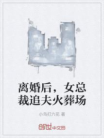离婚后总裁追前妻的