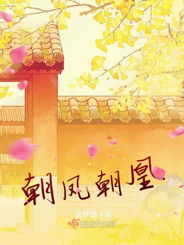 凤朝凰新书
