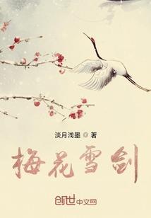 梅花雪剑 沧州风云