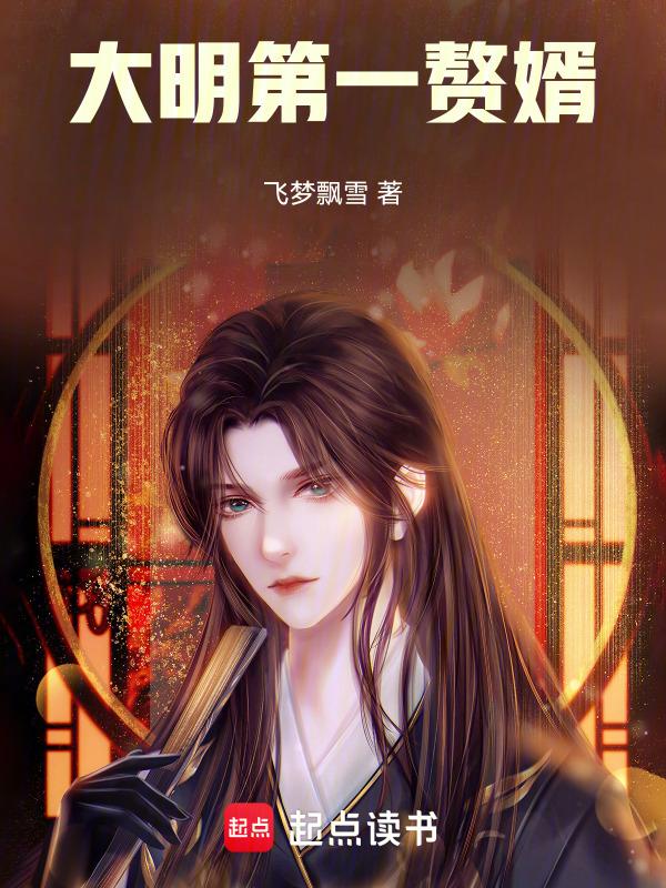 大明帝婿