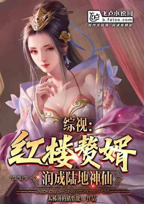 红楼之最强赘婿