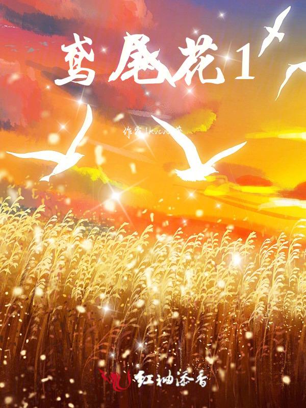 鸢尾花的图片