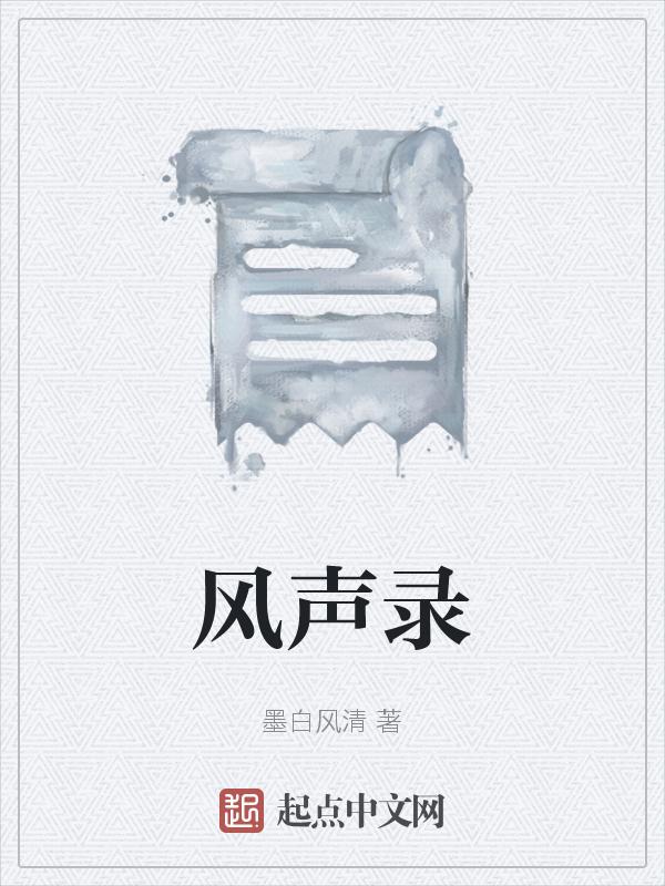 录视频风声太大怎么办
