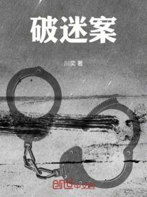 破迷案电视剧