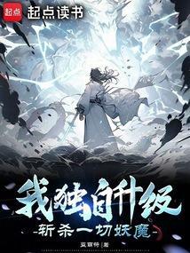 我独自升级