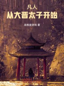 凡人从大晋太子开始 高维度游戏