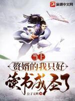 赘婿当皇上