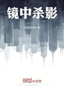 镜中影作品集