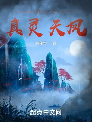 凡人之真灵天凤在线阅读免费