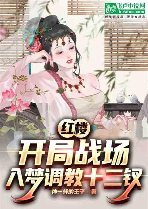 穿越金陵十二钗