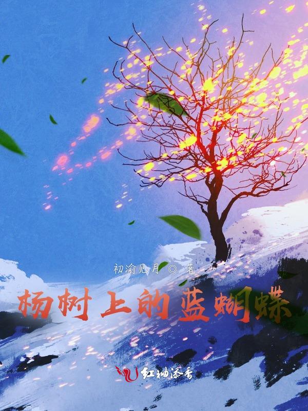 流光知故梦