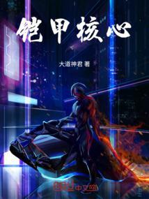 铠甲选择