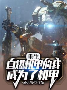 重生机甲风暴免费全文