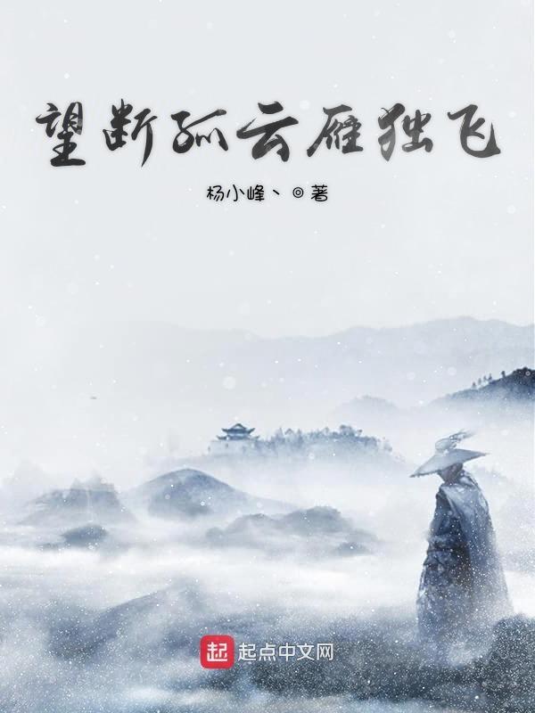 孤雁独飞的古诗词