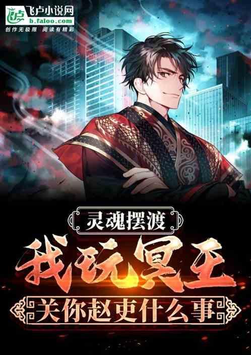 冥王拿了赵吏什么东西
