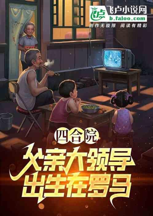 四合院 大领导