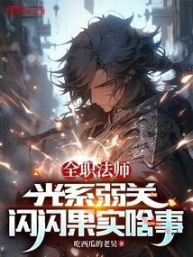 全职法师之闪闪光系