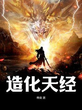 造化天经阳神