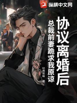 总裁离婚后前妻独自生产