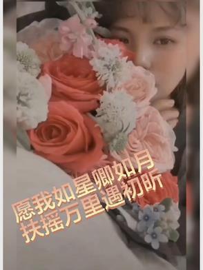 愿我如星君如月完整版
