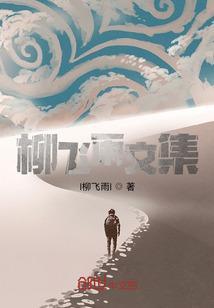 柳飞是谁