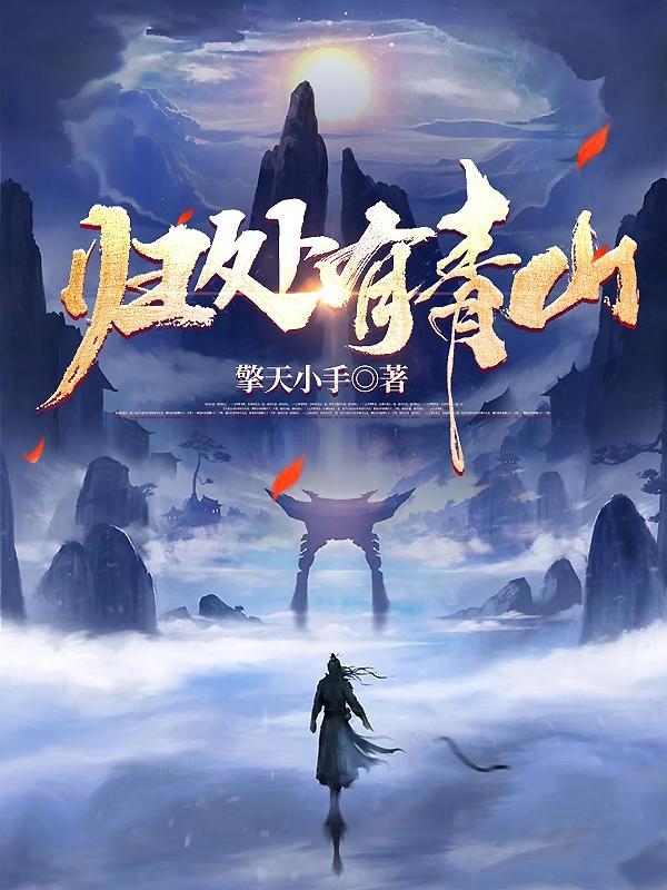 归处有青山实力等级