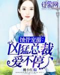 蚀骨宠溺凶猛总裁爱不停[看