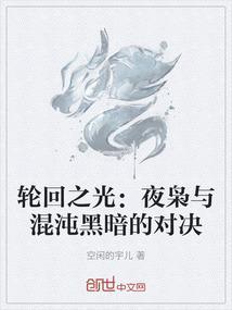 轮回之光夜枭与混沌黑暗的对决免费阅读