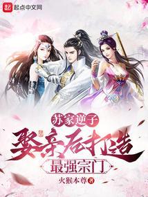 苏家赘婿免费阅读全文