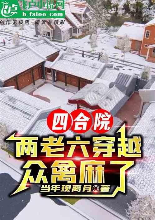四合院两进院平面图