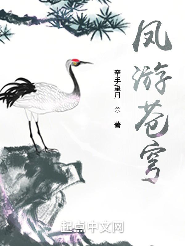 凤逆苍穹