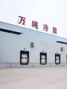 四合院开局娶于丽