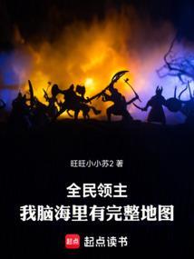 全民领主我脑海里有完整地图txt