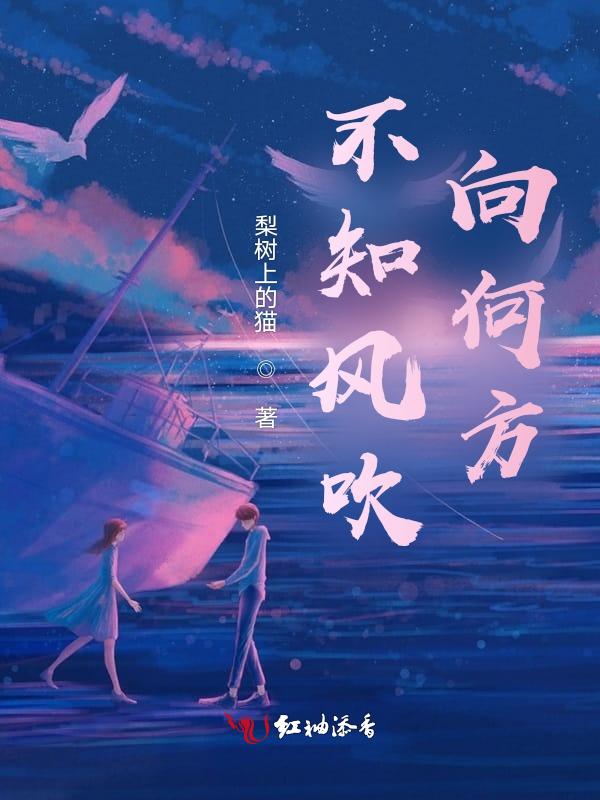 风不知道