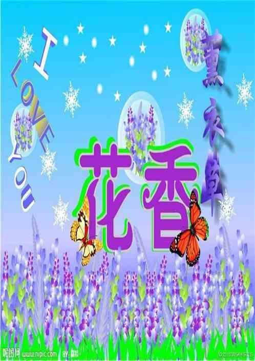 薰衣草度夏