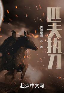 匹夫什么意思?