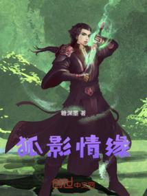 狐影精彩视频