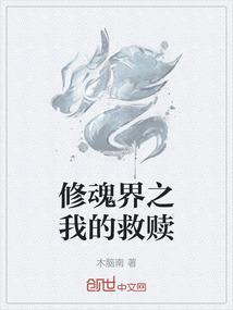 主角修魂的