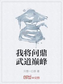 问鼎武道之巅