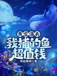 黄金渔夫宋云txt
